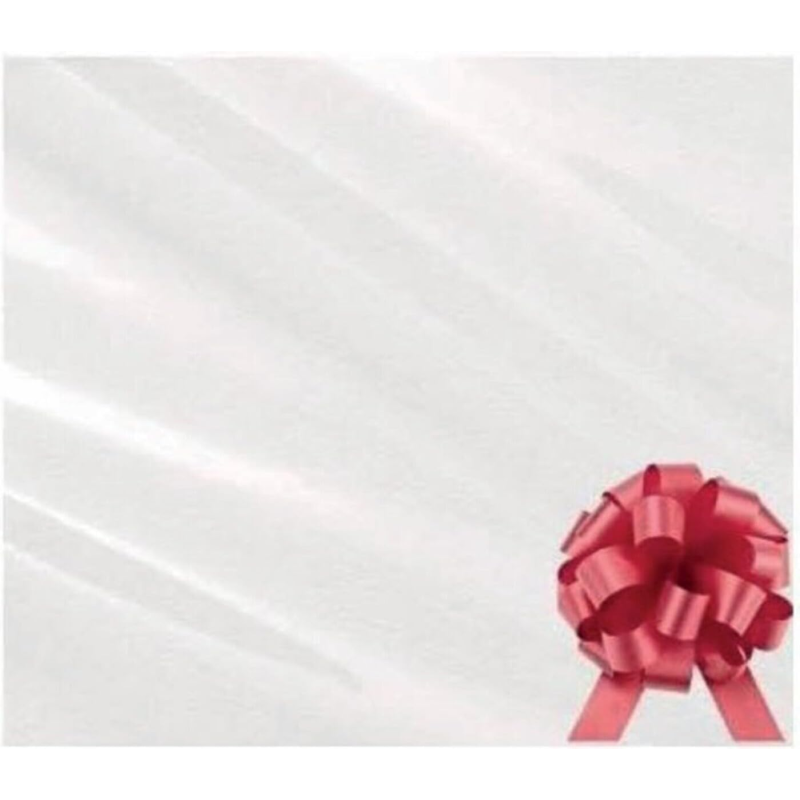 Foglio Trasparente per Confezioni Regalo – Cm 100x130 con Nastro Rosso