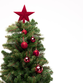 Christmas Box 31 Pezzi - Sfere di Natale in Plastica Assortite - Burgundy