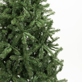 Albero Sassonia Pine