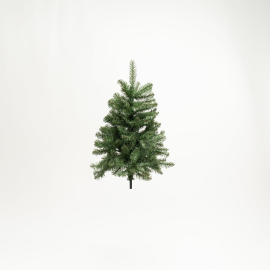 Albero Sassonia Pine