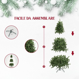 Albero Sassonia Pine