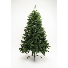 Albero Baltico Pine