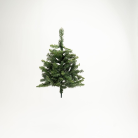 Albero Baltico Pine