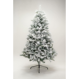 Albero Canadian Snowy