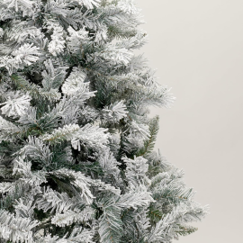 Albero Canadian Snowy