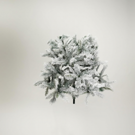 Albero Canadian Snowy