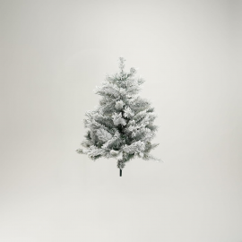 Albero Canadian Snowy