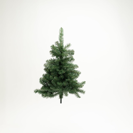 Albero Capital Pine