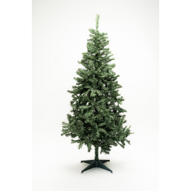 Albero Faster Pine