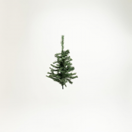 Albero Faster Pine