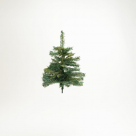 Albero Vestfalio